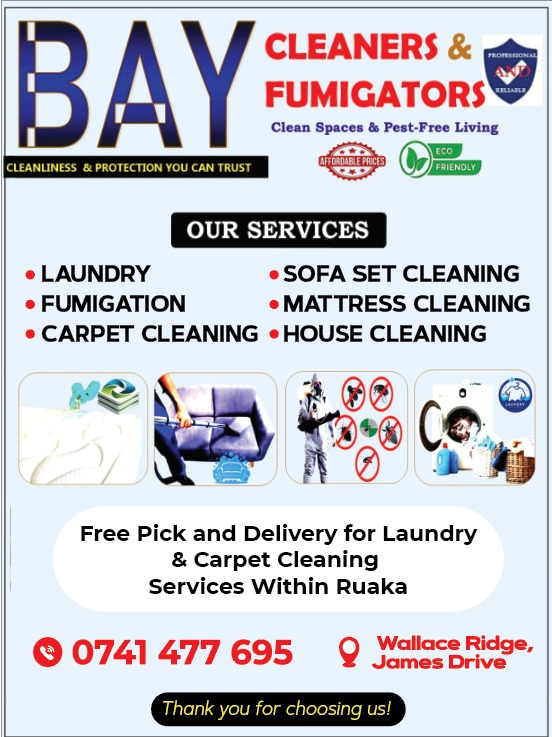 What Is Bay Cleaners & Fumigators And How We’re Changing Home Care In Ruaka Today